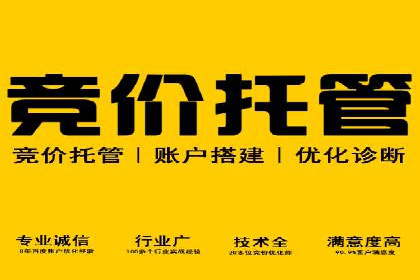 SEM竞价培训：实战案例解析与策略